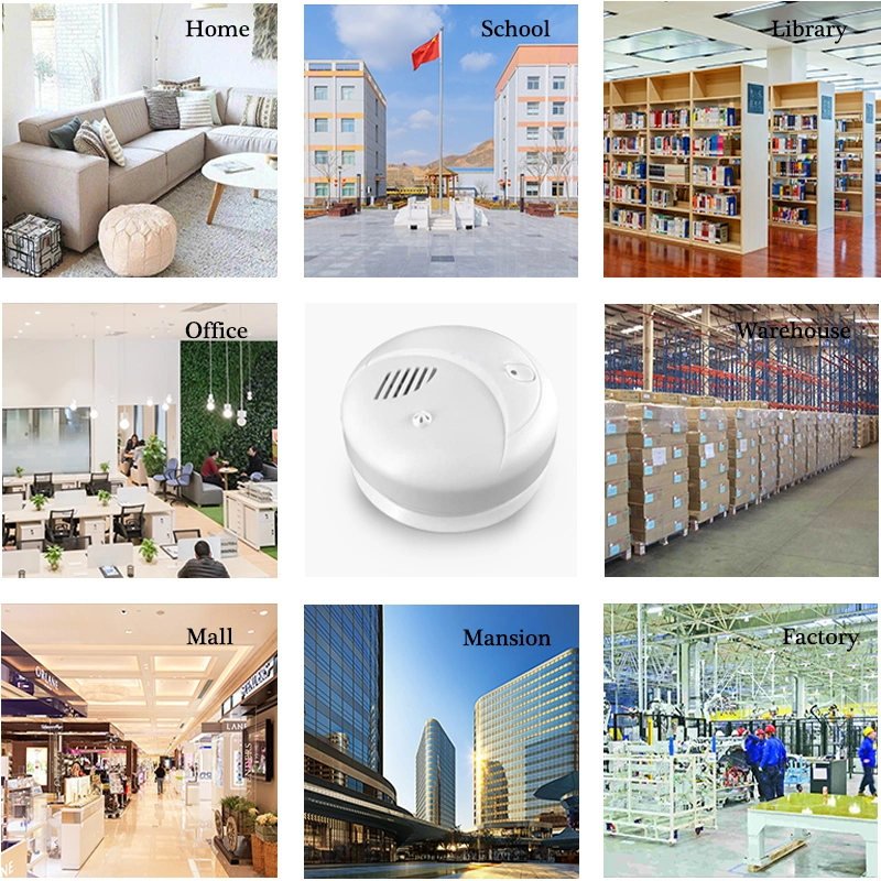 Smoke Detector and Heat Temperature Sensor Alarm Combination with Fire Alarm