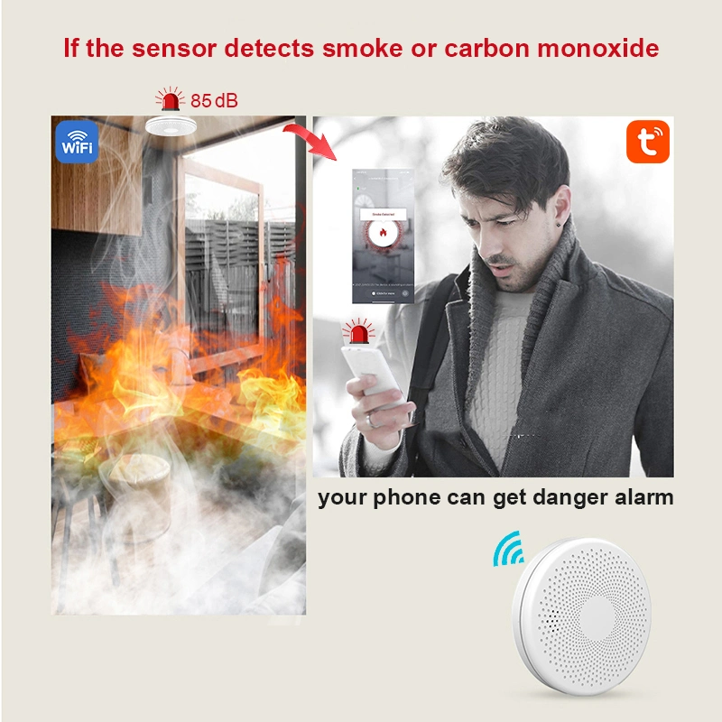 New 2 in 1 Version Tuya WiFi Smart Smoke Detector Sensor & Carbon Monoxide Co Gas Detector Wireless Combination CO2 In1 Alarms